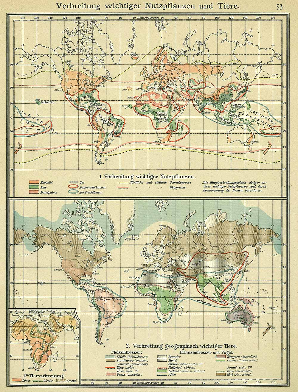 Important world crops and animals, Andrees 'Berliner Schul-Atlas', 1916, page 53, published size to print borders 18.9 cm wide by 25.71 cm high.