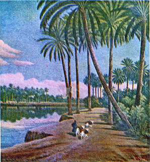Iraqi date palm avenue along river, printed size 9.96cm wide x 10.87cm high