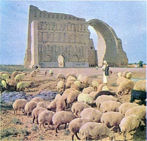 Arch of Ctesiphon, Iraq, printed size 9.99cm wide x 9.58cm high