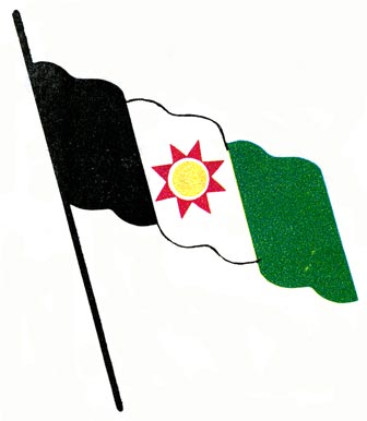 Iraqi flag in 1961, original printed size 5.2cm wide x 6cm high